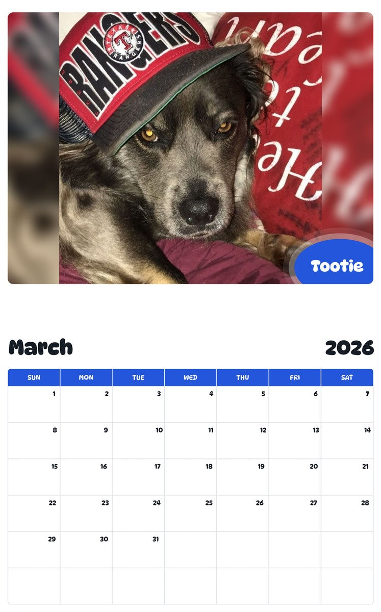November 2025 - October 2026 Tootie - Pawidols Pet Calendar
