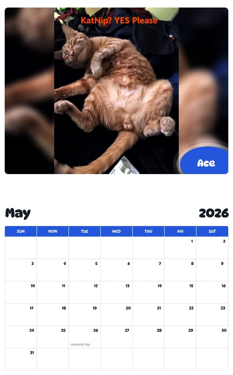 2026 - 2027 Ace - Pawidols Pet Calendar