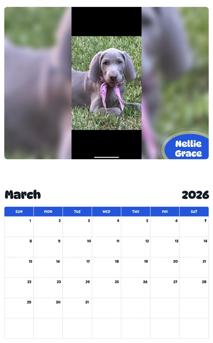 November 2025 - October 2026 Nellie Grace - Pawidols Pet Calendar