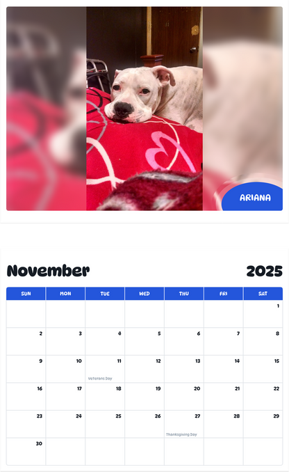 July 2025 - June 2026 Ariana - Pawidols Pet Calendar
