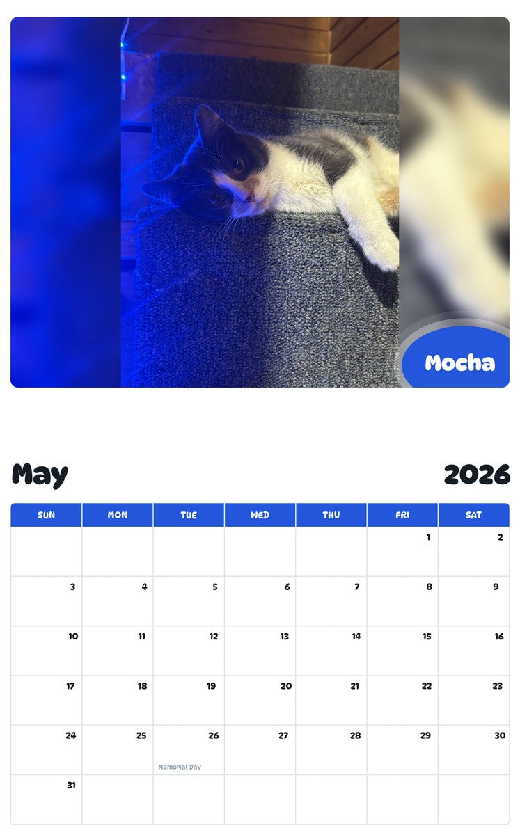 2026 - 2027 Mocha - Pawidols Pet Calendar