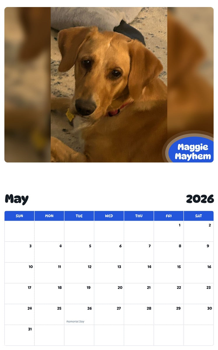 2026 - 2027 Maggie Mayhem - Pawidols Pet Calendar