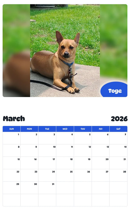 November 2025 - October 2026 Toge - Pawidols Pet Calendar