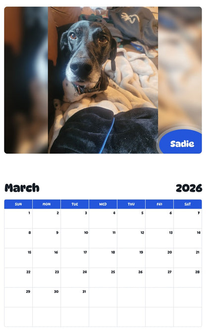 November 2025 - October 2026 Sadie - Pawidols Pet Calendar