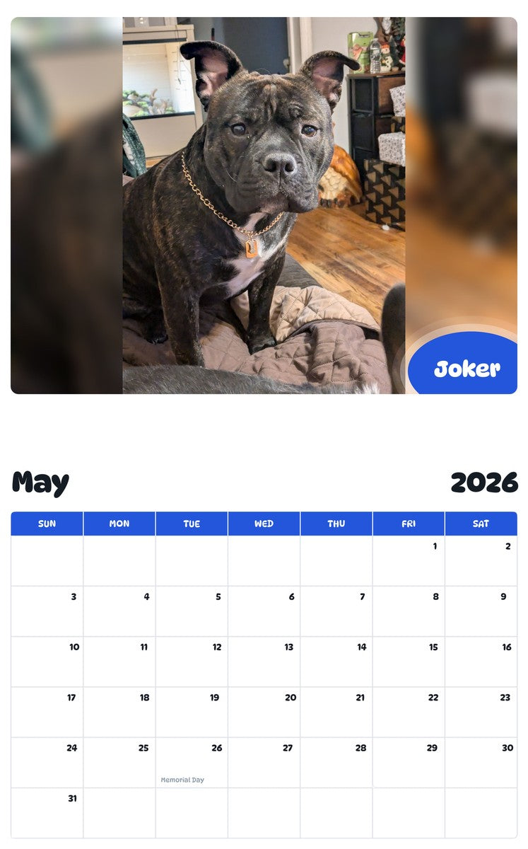 2026 - 2027 Joker - Pawidols Pet Calendar