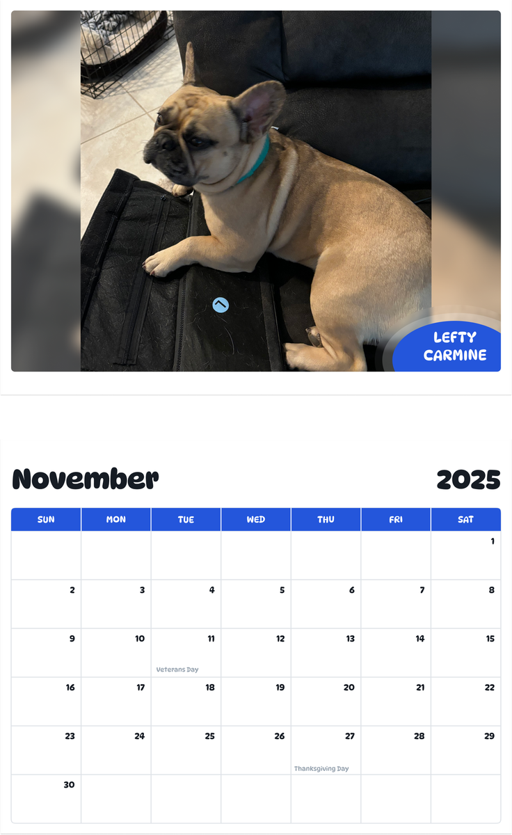 July 2025 - June 2026 Lefty Carmine - Pawidols Pet Calendar