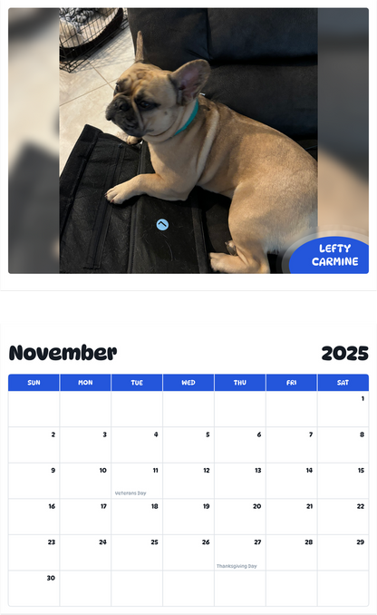 July 2025 - June 2026 Lefty Carmine - Pawidols Pet Calendar