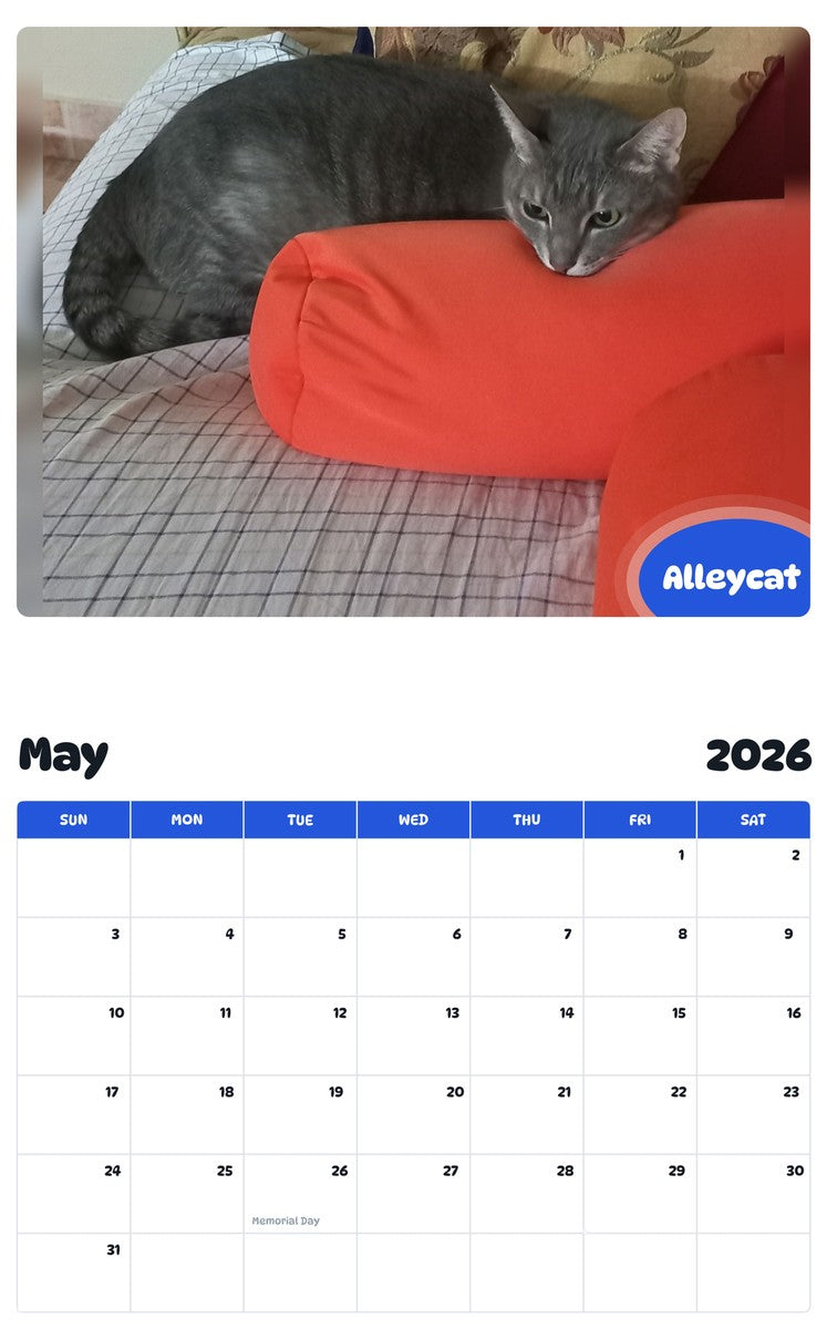 2026 - 2027 Alleycat - Pawidols Pet Calendar