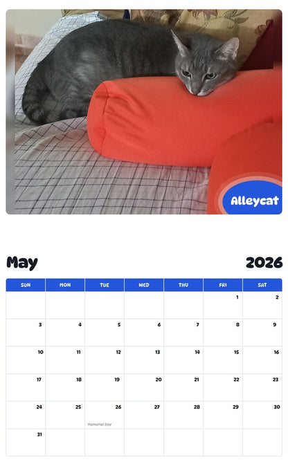 2026 - 2027 Alleycat - Pawidols Pet Calendar