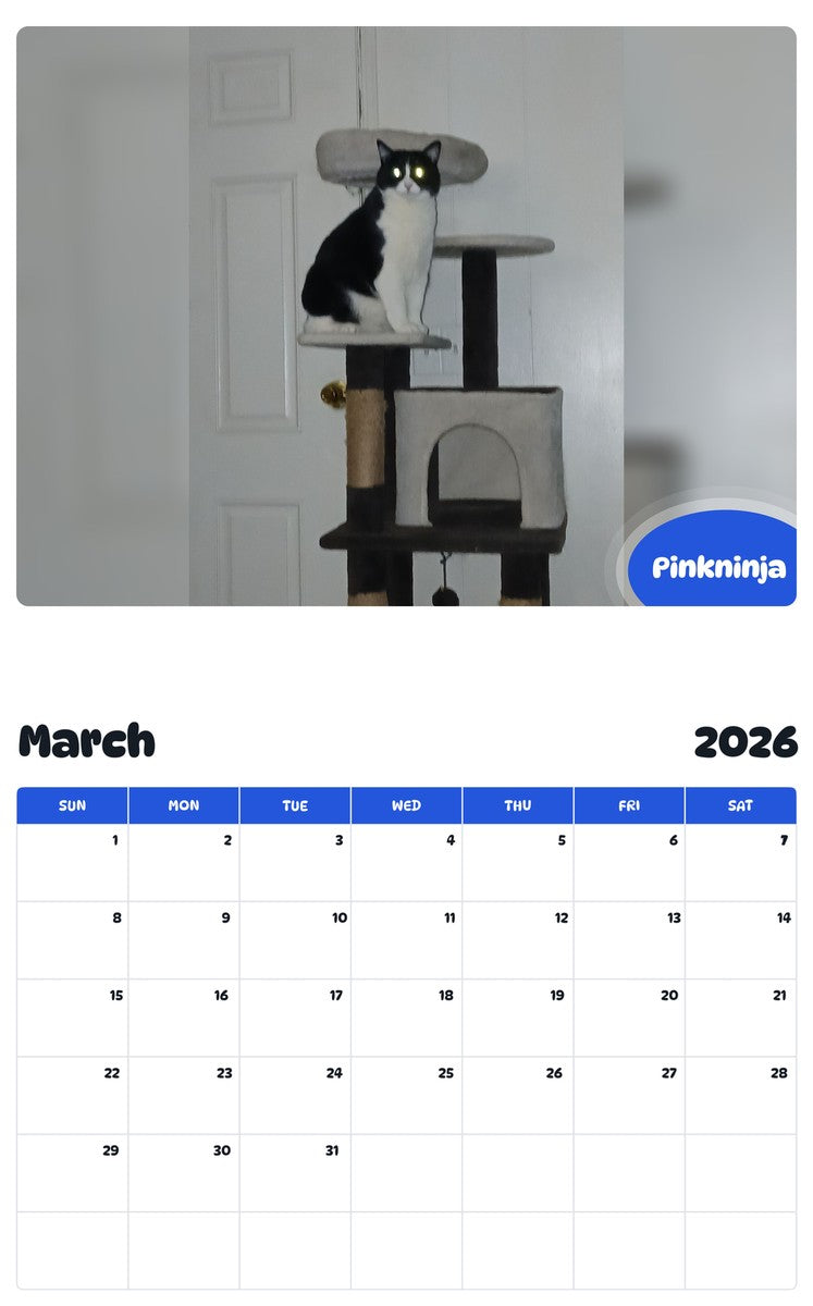 November 2025 - October 2026 Pinkninja - Pawidols Pet Calendar