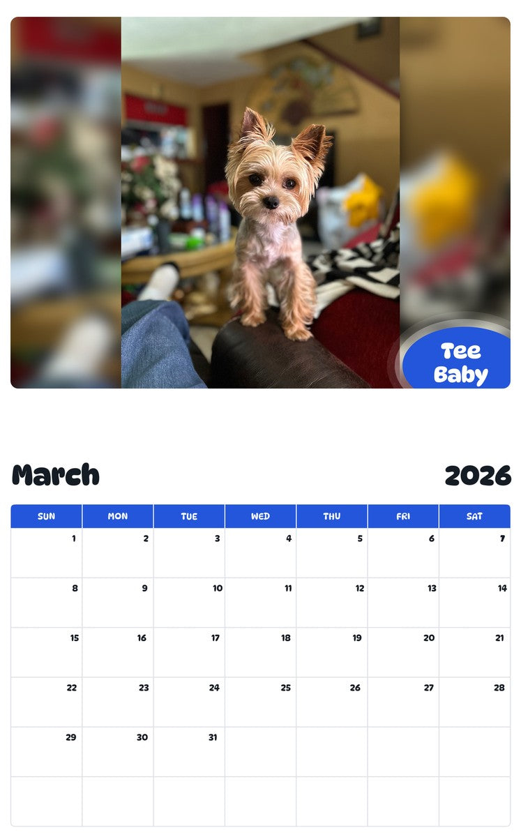 November 2025 - October 2026 Tee Baby - Pawidols Pet Calendar