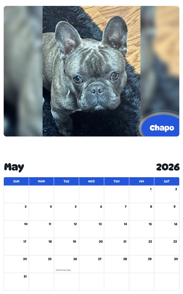 2026 - 2027 Chapo - Pawidols Pet Calendar