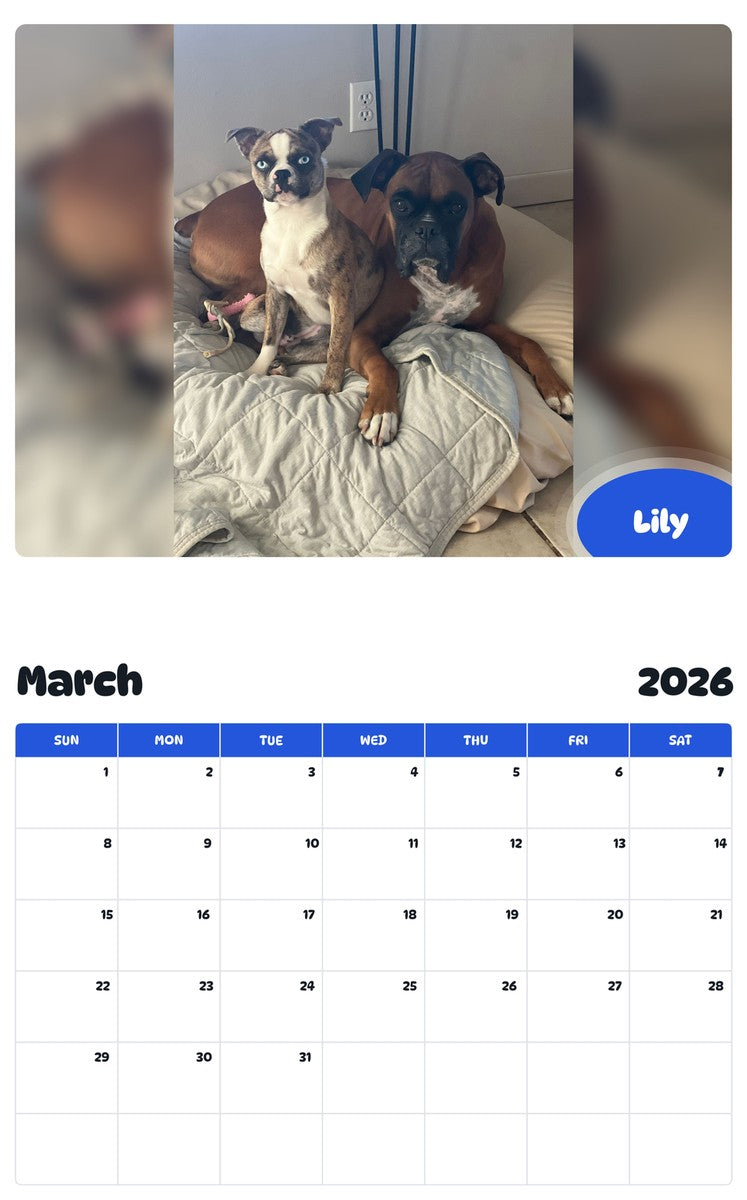 November 2025 - October 2026 Lily - Pawidols Pet Calendar