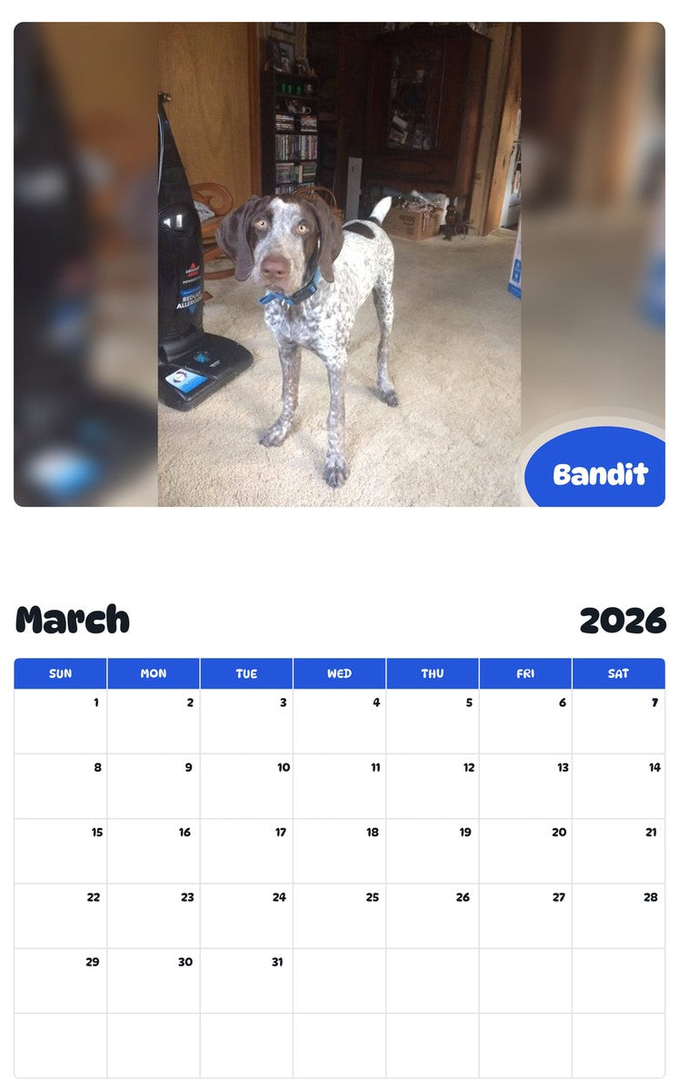 November 2025 - October 2026 Bandit - Pawidols Pet Calendar