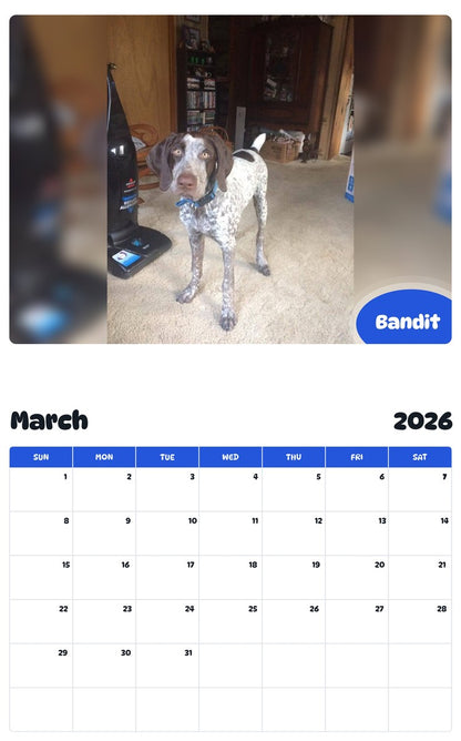 November 2025 - October 2026 Bandit - Pawidols Pet Calendar