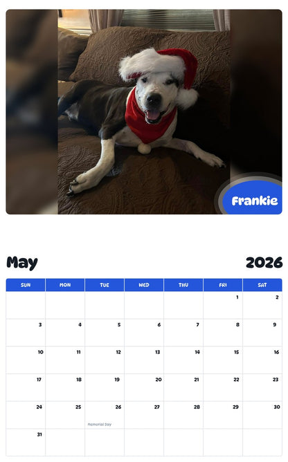 2026 - 2027 Frankie - Pawidols Pet Calendar