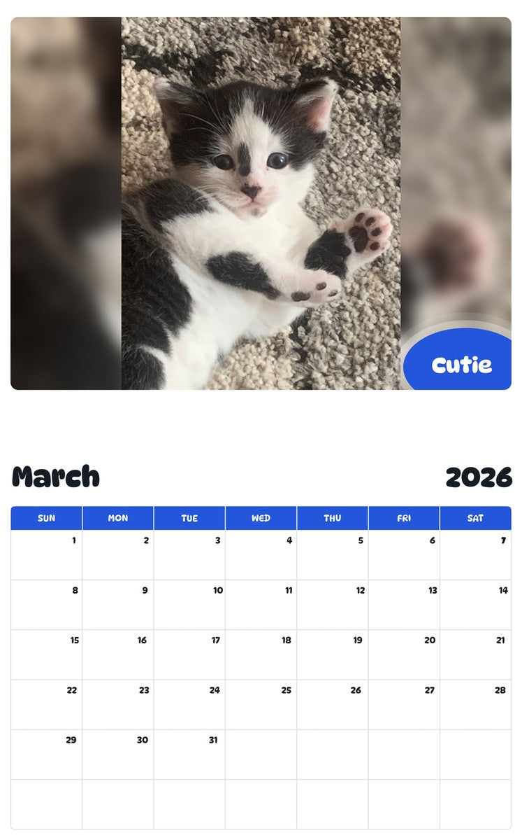November 2025 - October 2026 Cutie - Pawidols Pet Calendar