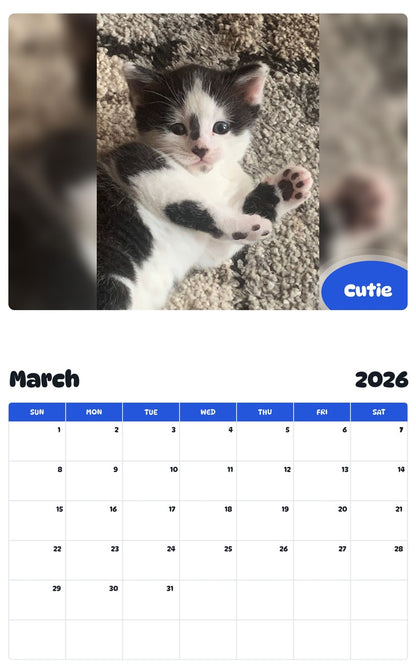 November 2025 - October 2026 Cutie - Pawidols Pet Calendar
