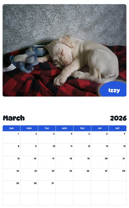 November 2025 - October 2026 Izzy - Pawidols Pet Calendar