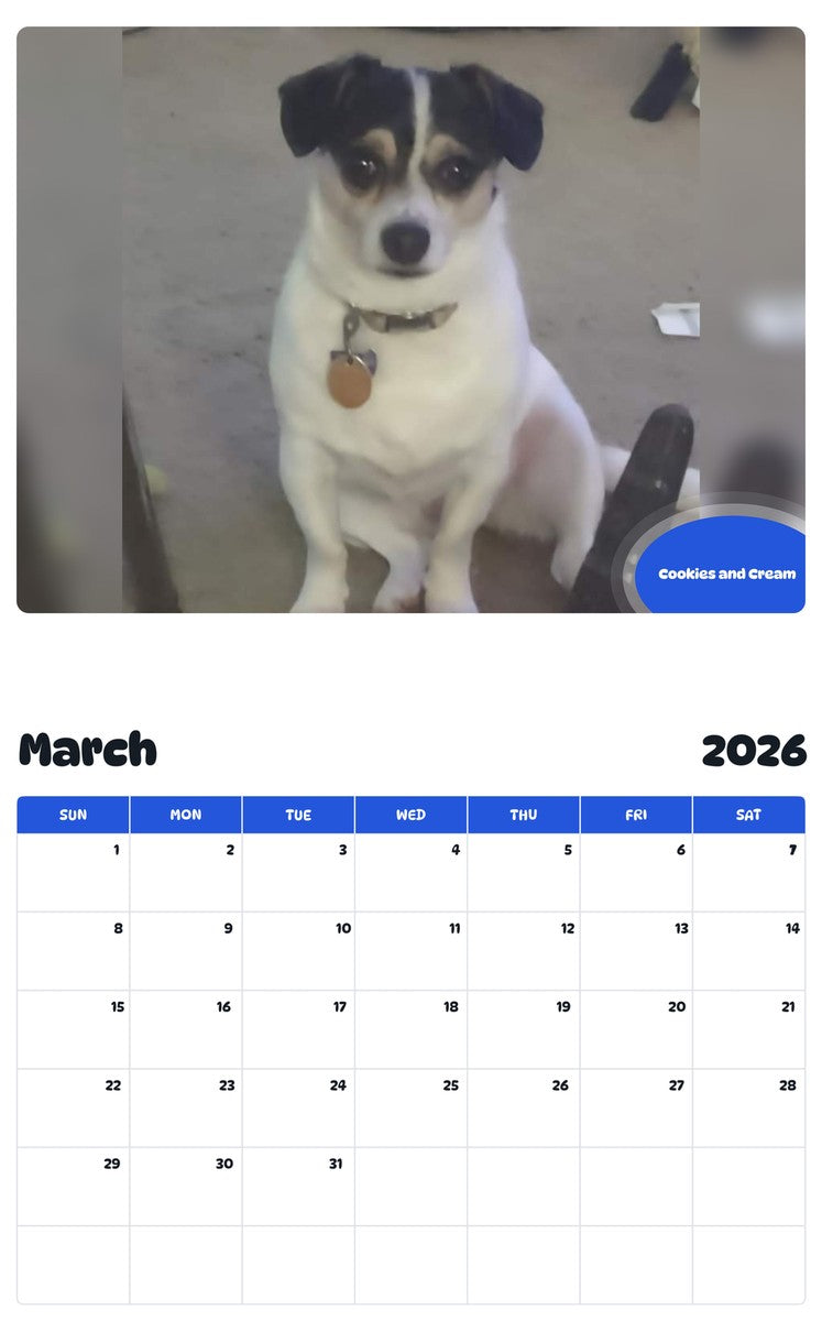 November 2025 - October 2026 Cookies and Cream - Pawidols Pet Calendar