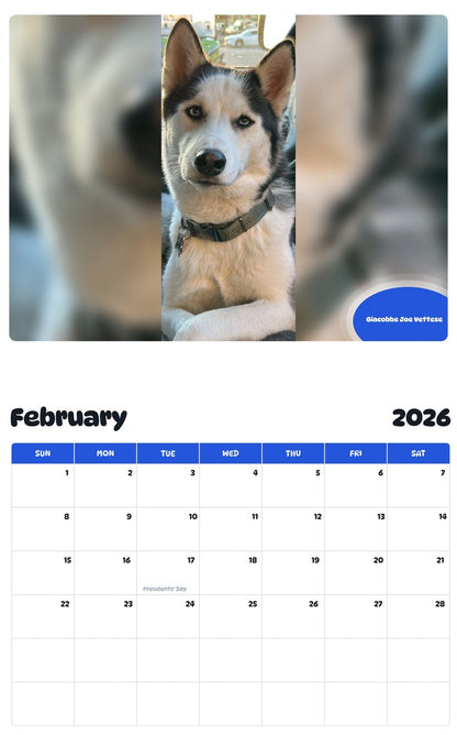 November 2025 - October 2026 Giacobbe Joe Vettese - Pawidols Pet Calendar