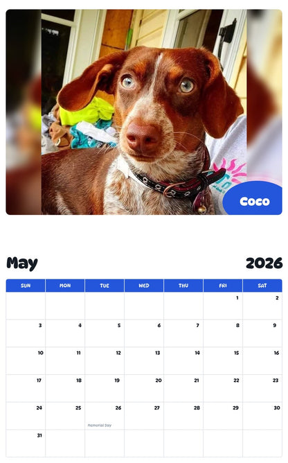 2026 - 2027 Coco - Pawidols Pet Calendar