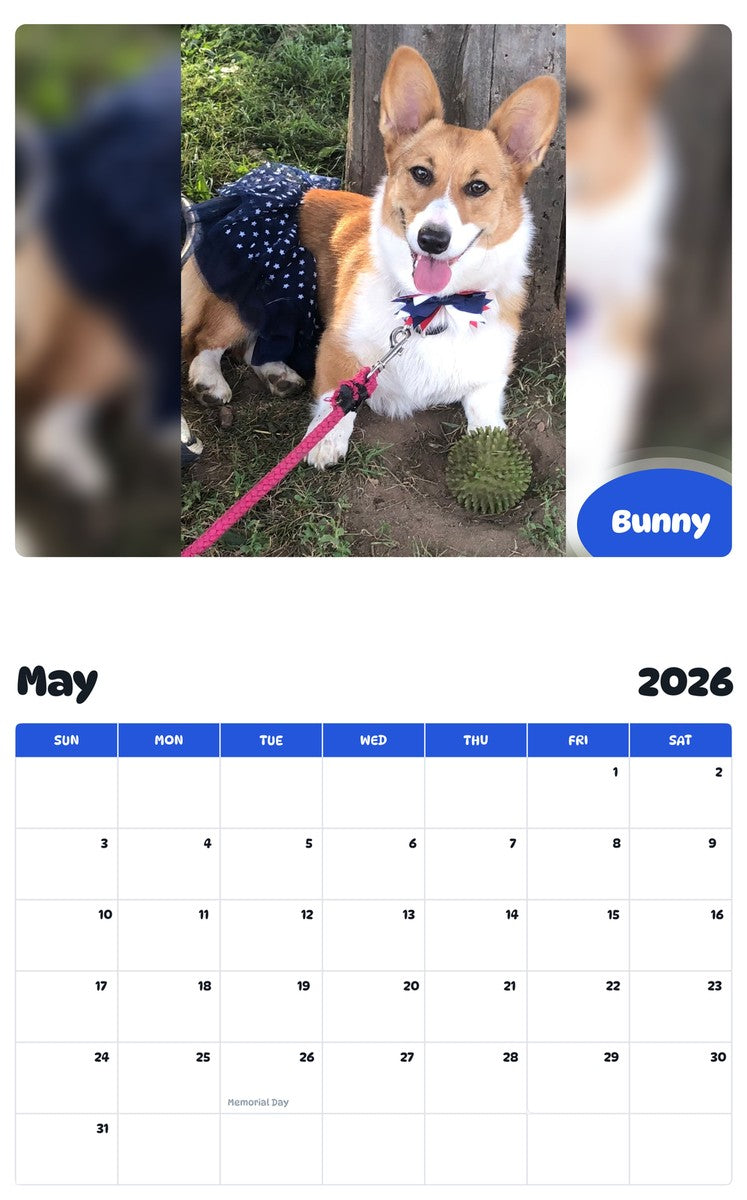 2026 - 2027 Bunny - Pawidols Pet Calendar