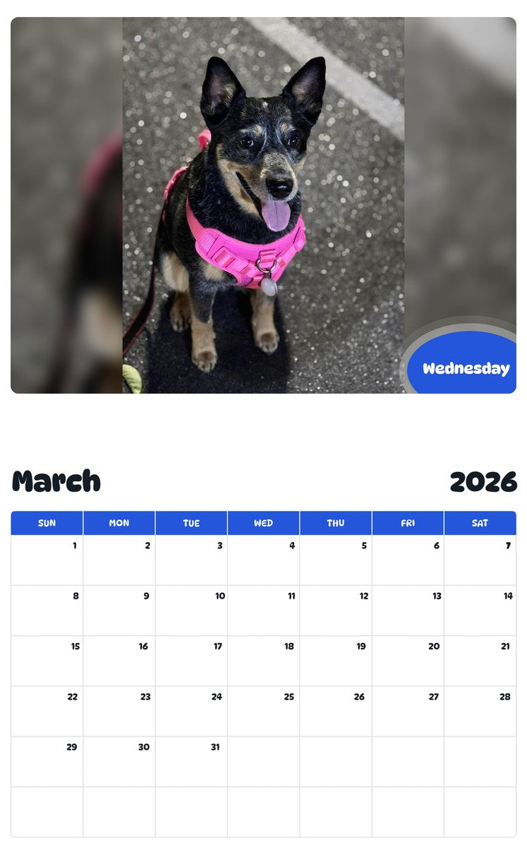 November 2025 - October 2026 Wednesday - Pawidols Pet Calendar