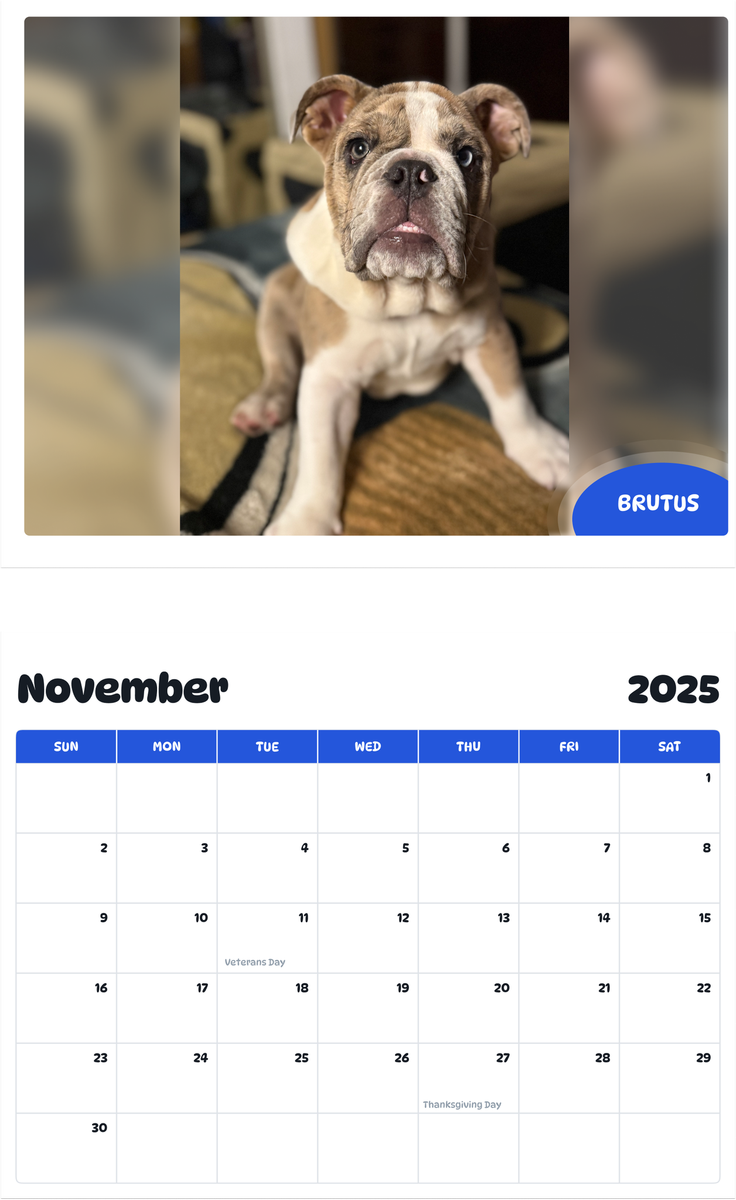 July 2025 - June 2026 Brutus - Pawidols Pet Calendar