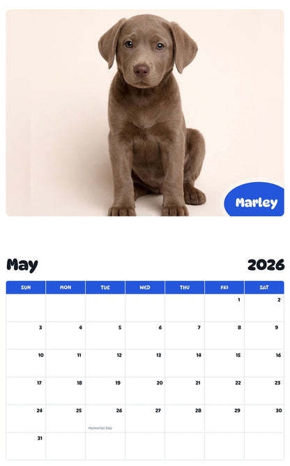 2026 - 2027 Marley - Pawidols Pet Calendar