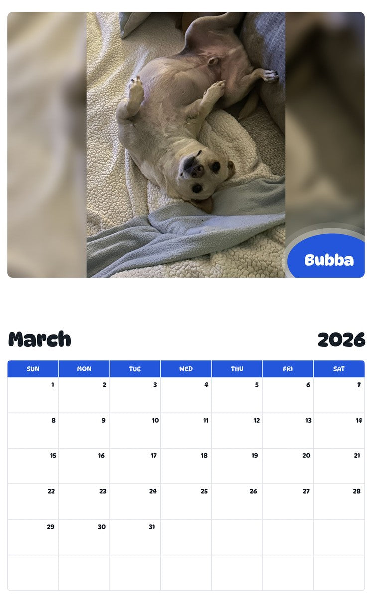 November 2025 - October 2026 Bubba - Pawidols Pet Calendar