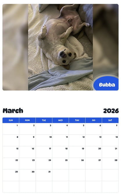 November 2025 - October 2026 Bubba - Pawidols Pet Calendar