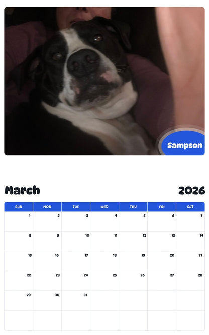 November 2025 - October 2026 Sampson - Pawidols Pet Calendar