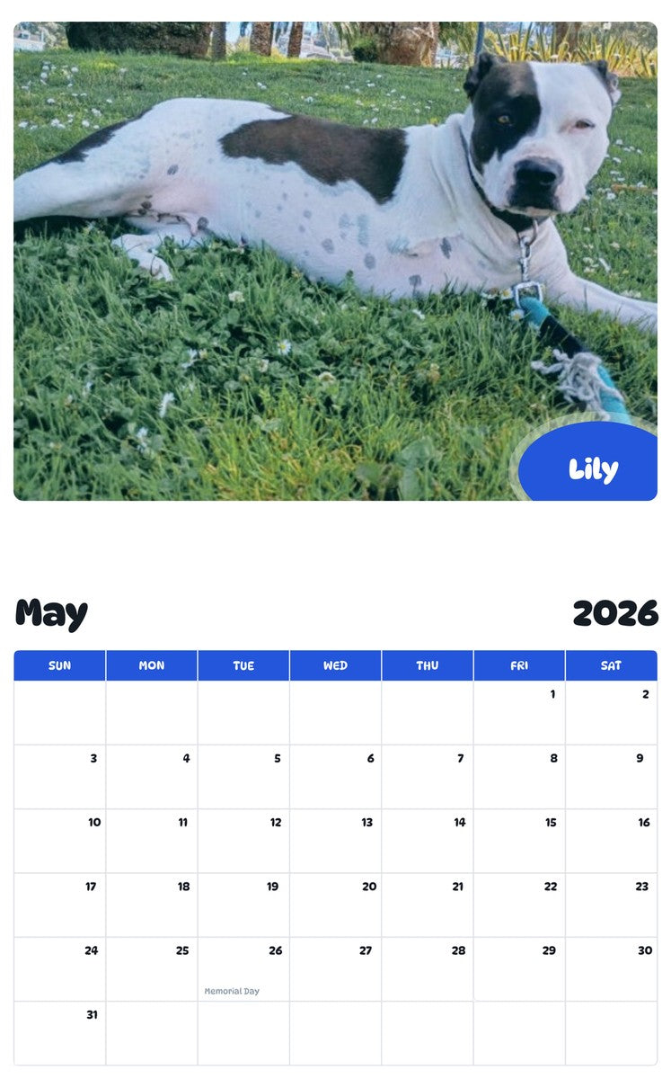 2026 - 2027 Lily - Pawidols Pet Calendar