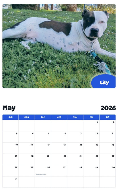 2026 - 2027 Lily - Pawidols Pet Calendar