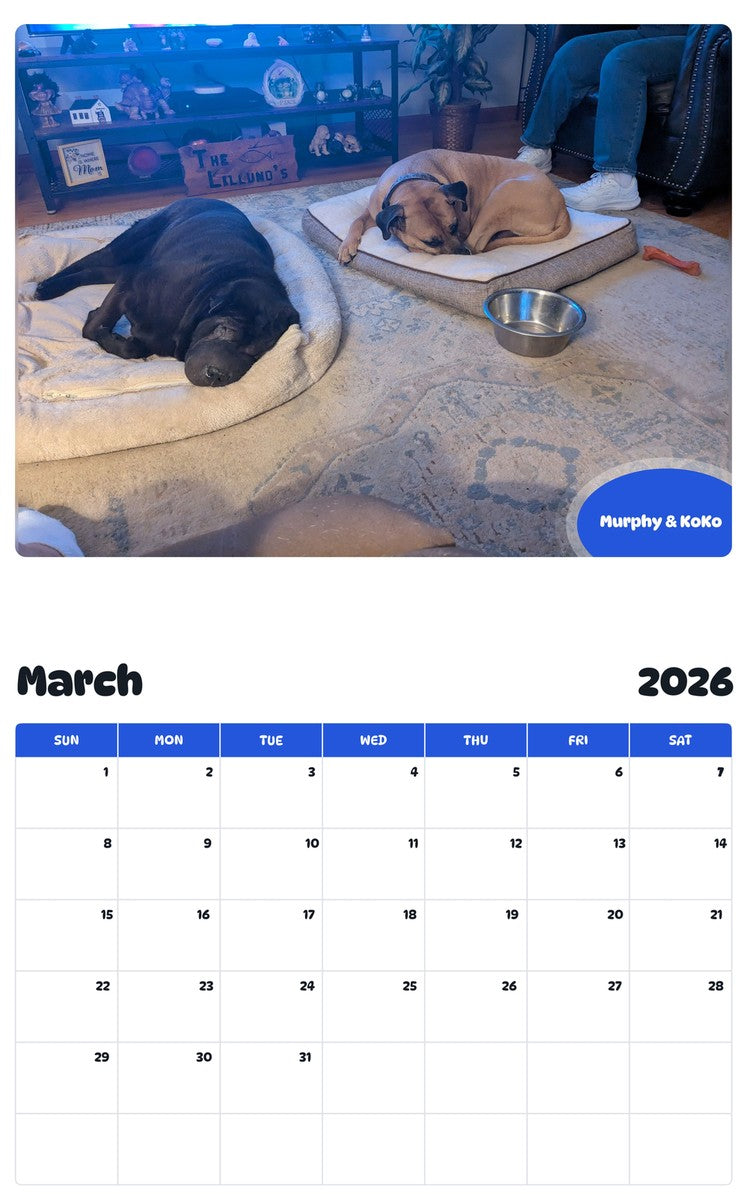 November 2025 - October 2026 Murphy & KoKo - Pawidols Pet Calendar