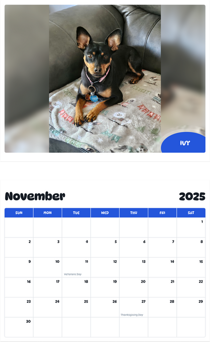 July 2025 - June 2026 Ivy - Pawidols Pet Calendar