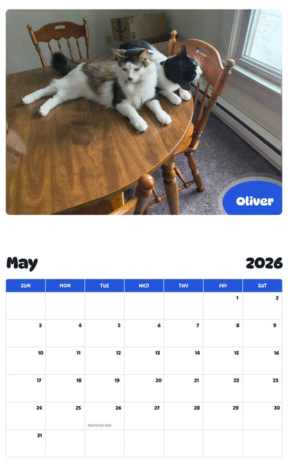 2026 - 2027 Oliver - Pawidols Pet Calendar