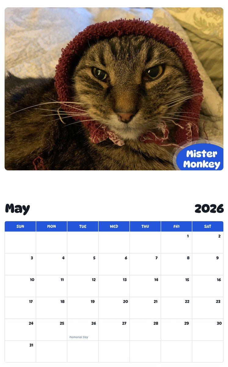 2026 - 2027 Mister Monkey - Pawidols Pet Calendar