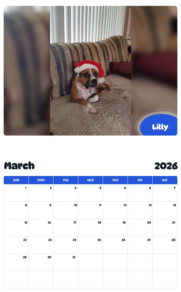 November 2025 - October 2026 Lilly - Pawidols Pet Calendar