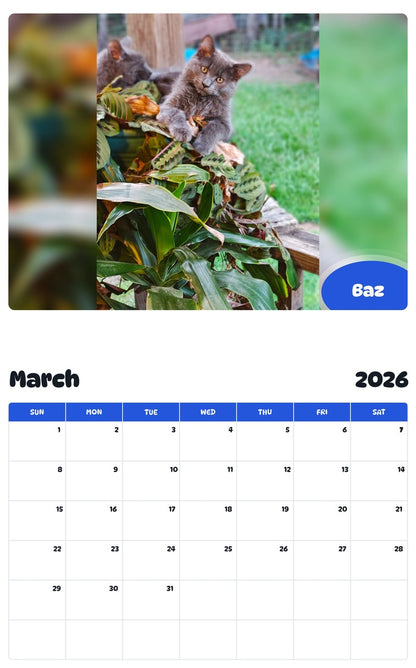 November 2025 - October 2026 Baz - Pawidols Pet Calendar