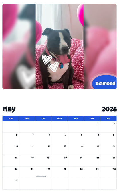 2026 - 2027 Diamond - Pawidols Pet Calendar