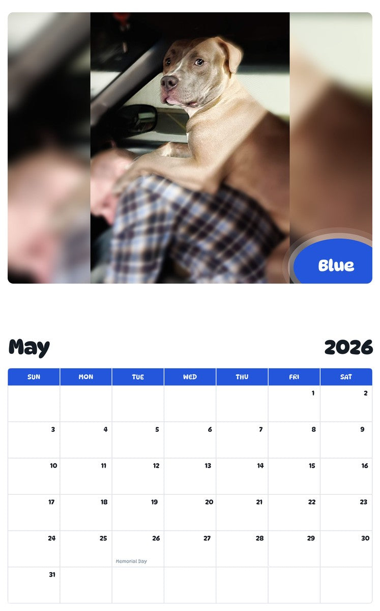 2026 - 2027 Blue - Pawidols Pet Calendar