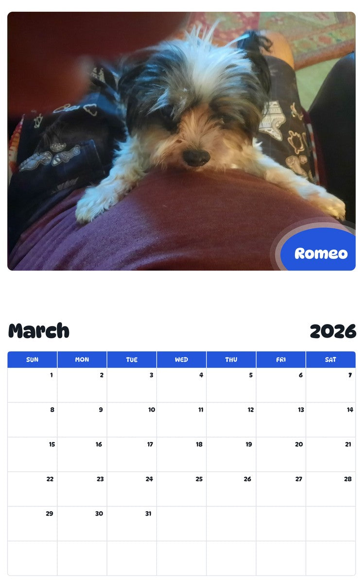 November 2025 - October 2026 Romeo - Pawidols Pet Calendar