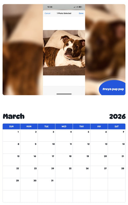 November 2025 - October 2026 Freya pup pup - Pawidols Pet Calendar