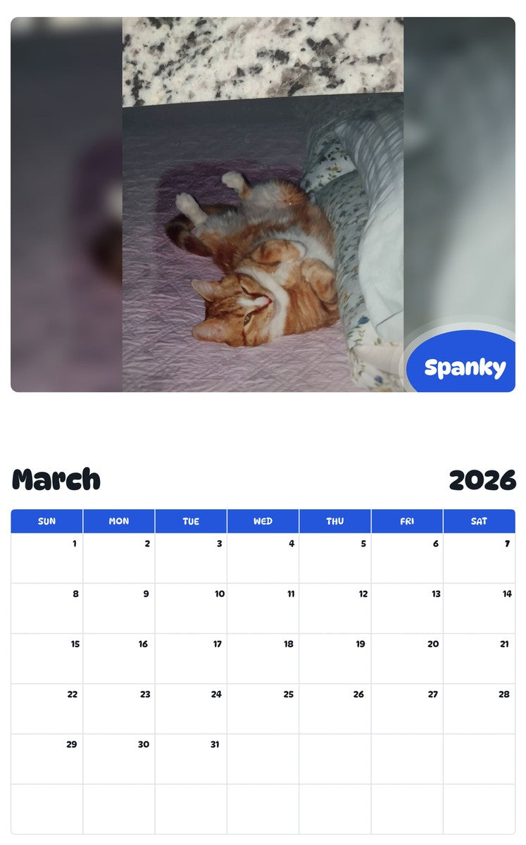 November 2025 - October 2026 Spanky - Pawidols Pet Calendar