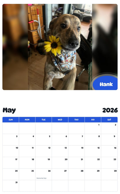 2026 - 2027 Hank - Pawidols Pet Calendar