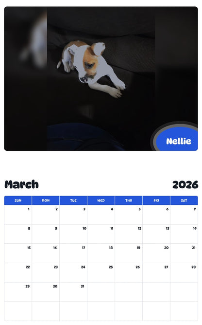 November 2025 - October 2026 Nellie - Pawidols Pet Calendar