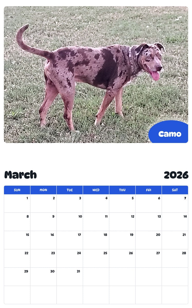 November 2025 - October 2026 Camo - Pawidols Pet Calendar