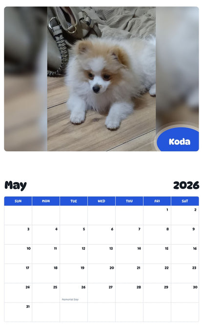 2026 - 2027 Koda - Pawidols Pet Calendar